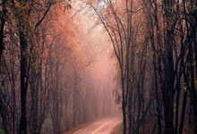 黑白体育官网：“西班牙足协主席宣布联合申办2035年女足世界杯”.